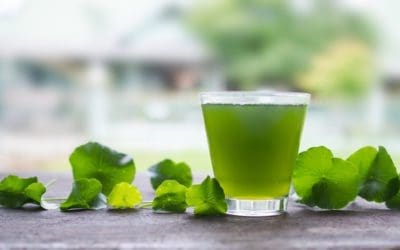 Anti-Inflammatory Foods to Help Reduce Pain