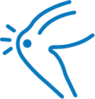 Join and Musculoskeletal Pain