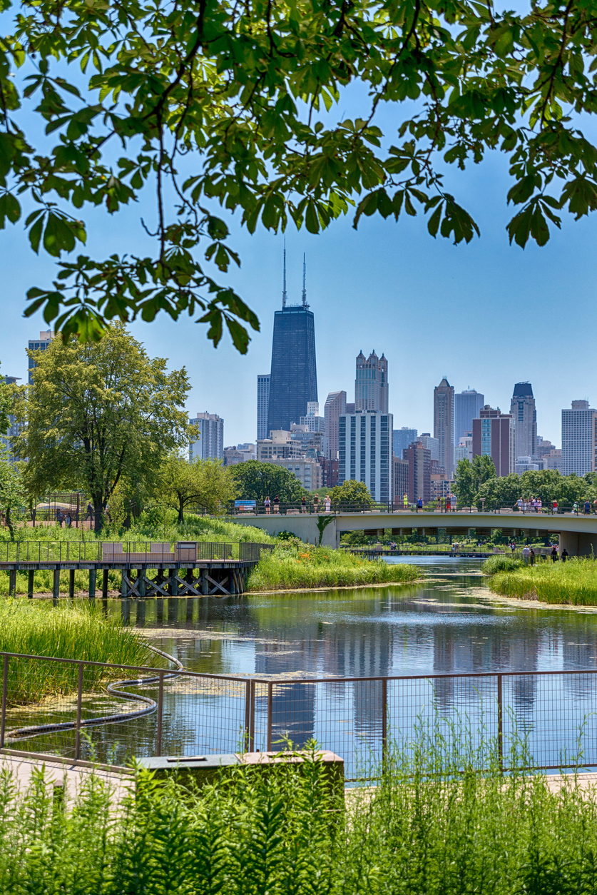 MAPS Centers for Pain Control Chicago Midway